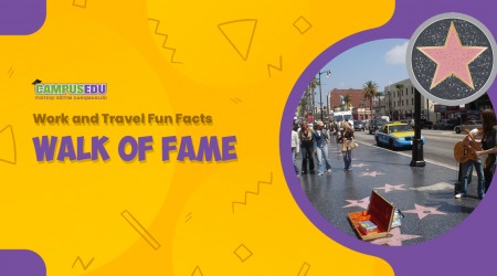 Fun Facts: Walk of Fame